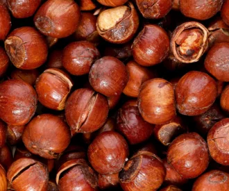 فندق با پوست شور