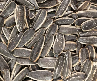 تخمه آفتابگردان لیمویی