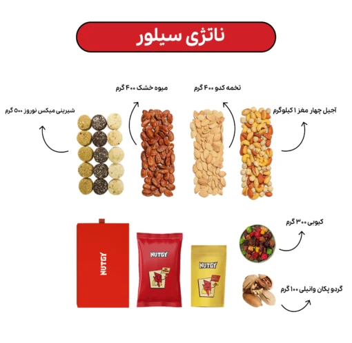 پک سازمانی نقره ای