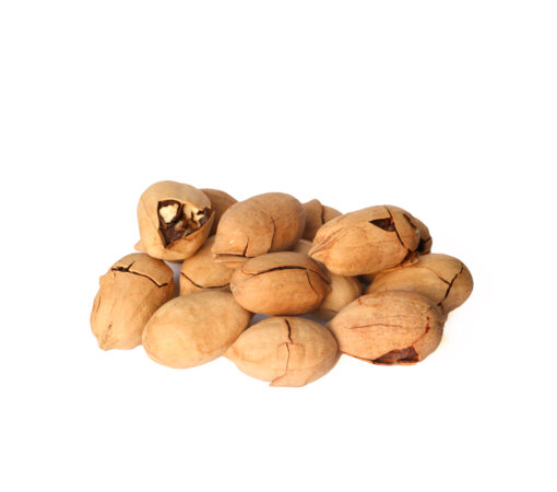 پکان وانیلی