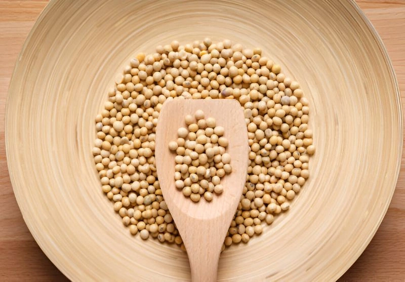 سویا اجیلی
