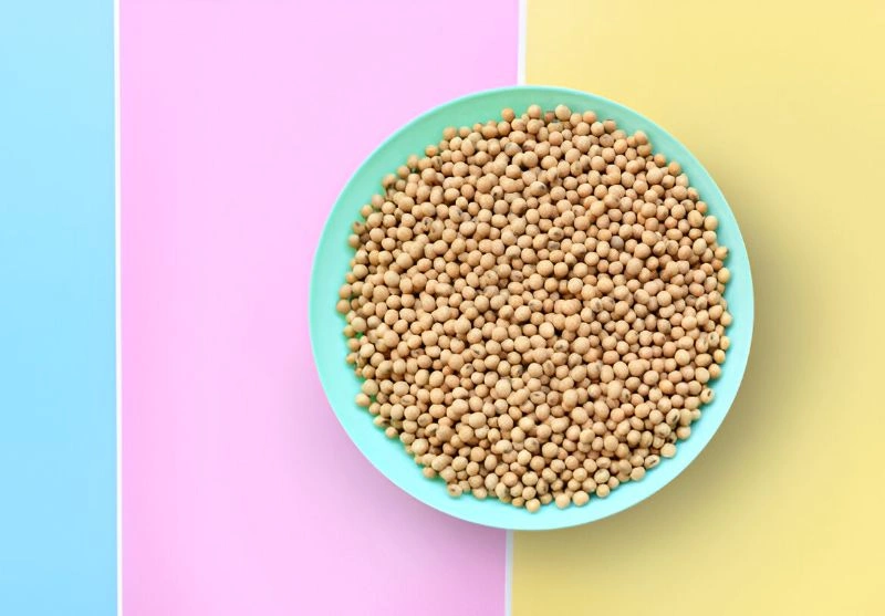 مضرات آجیل سویا